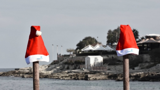 Malta Christmas Charity Swim, Community Chest Fund